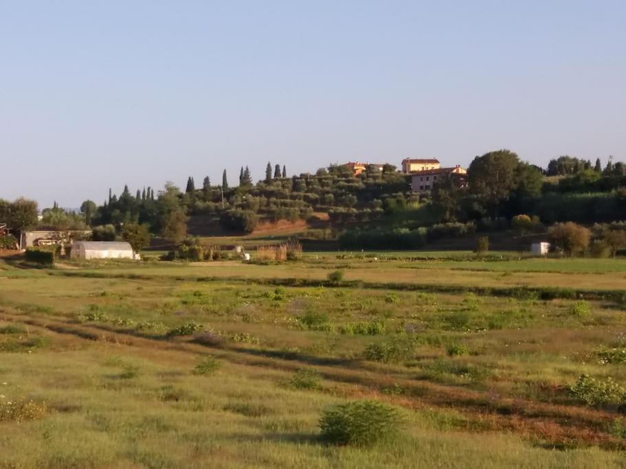 Podere Gian Battaglia Fucecchio Exterior foto