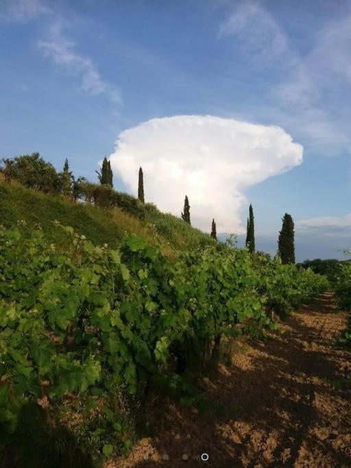 Podere Gian Battaglia Fucecchio Exterior foto