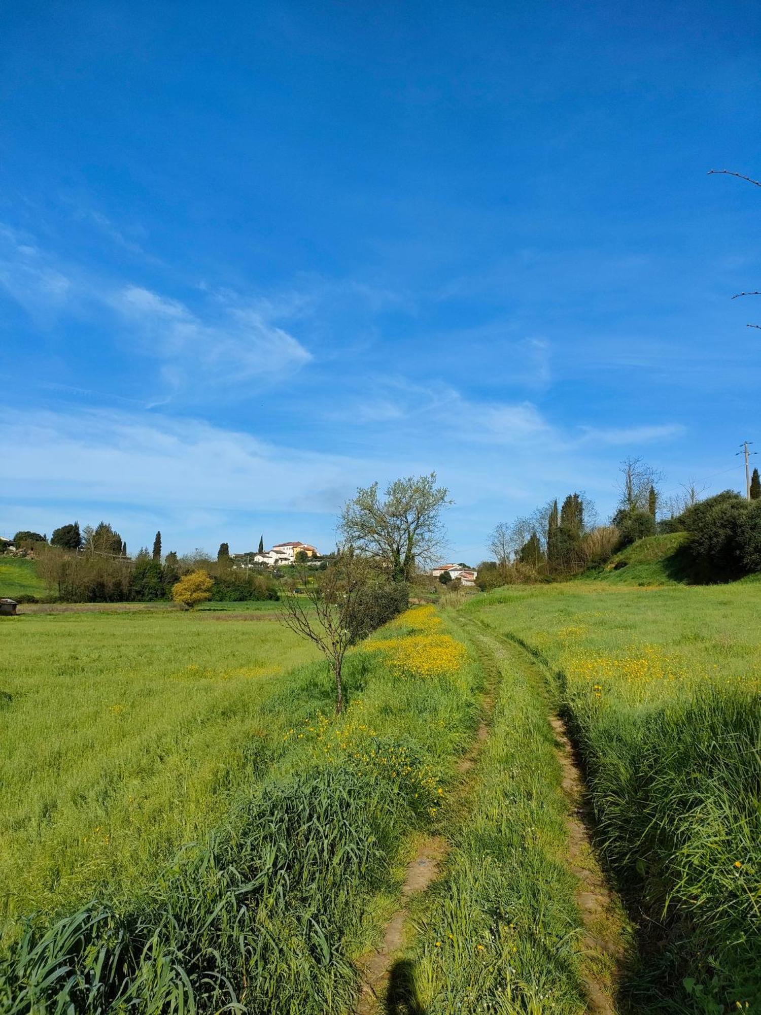 Podere Gian Battaglia Fucecchio Exterior foto